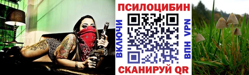 закладка  Первоуральск  blacksprut ТОР  Галлюциногенные грибы мицелий 